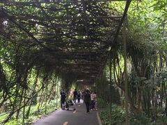 -广东茂名森林公园