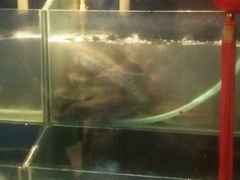 -鱼酷活鱼烤鱼(恒隆广场店)