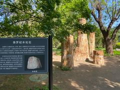 -国家植物园南园