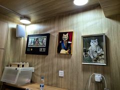 -MOCHA明星猫咖(田子坊店)