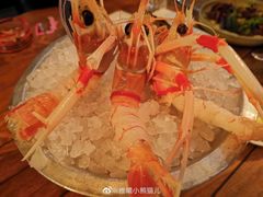 新西兰鳌虾-斯普汇生蚝牛排馆(中骏世界城店)
