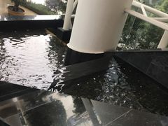 -成都世纪城假日酒店-西楼