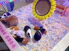 -大玩家(拱墅万达店)