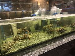 -Isla Sugbu Seafood City