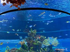 -北海海底世界