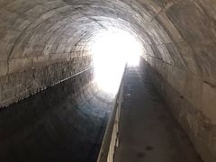 -白水寺森林公园