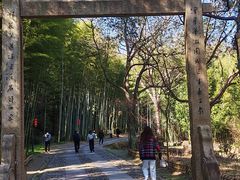 -黄公望隐居地