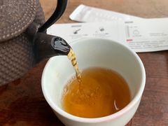 武夷山大红袍-去茶山