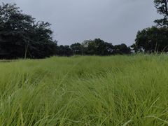 -汉长安城未央宫国家考古遗址公园