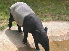 -杭州野生动物世界
