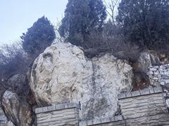 -府君山公园