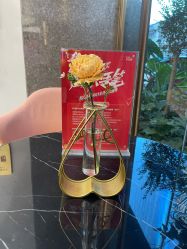 -云南吴氏嘉美医疗美容医院