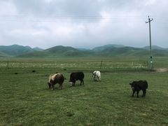 -青海湖国家重点风景名胜区
