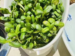 -浩爷羊蝎子火锅(望京店)