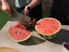 -美家乐农庄·露营·团建(大治路店)