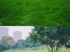 -重庆中央公园(渝北区)