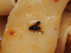 -潼十三肉夹馍(东单店)