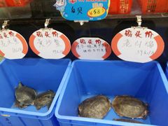 -和乐喜点(宝岗大道店)