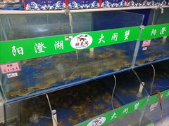 -阳澄湖大闸蟹·琼灵阁牌品牌连锁(吴中总店)