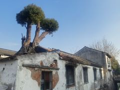 -常熟方塔园