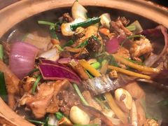 鸡煲-胡须佬鸡煲四季火锅(海雅缤纷城店)
