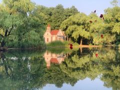 -上海共青森林公园