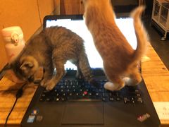 -时光转角咖啡馆(西康路店)