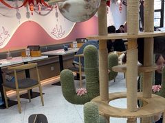 -喵园·猫主题咖啡厅·撸猫·猫咖(国贸店)