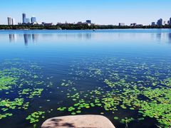 -长春市南湖公园