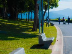 -福田红树林生态公园
