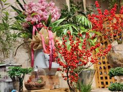 -循礼门鲜花花市(武汉循礼门店)