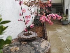 -美味之家·湖景农家乐(太湖东山店)