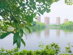 -杭州城北体育公园