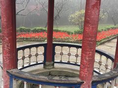 -庐山风景区花径公园