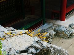 -北京市海淀外国语实验学校