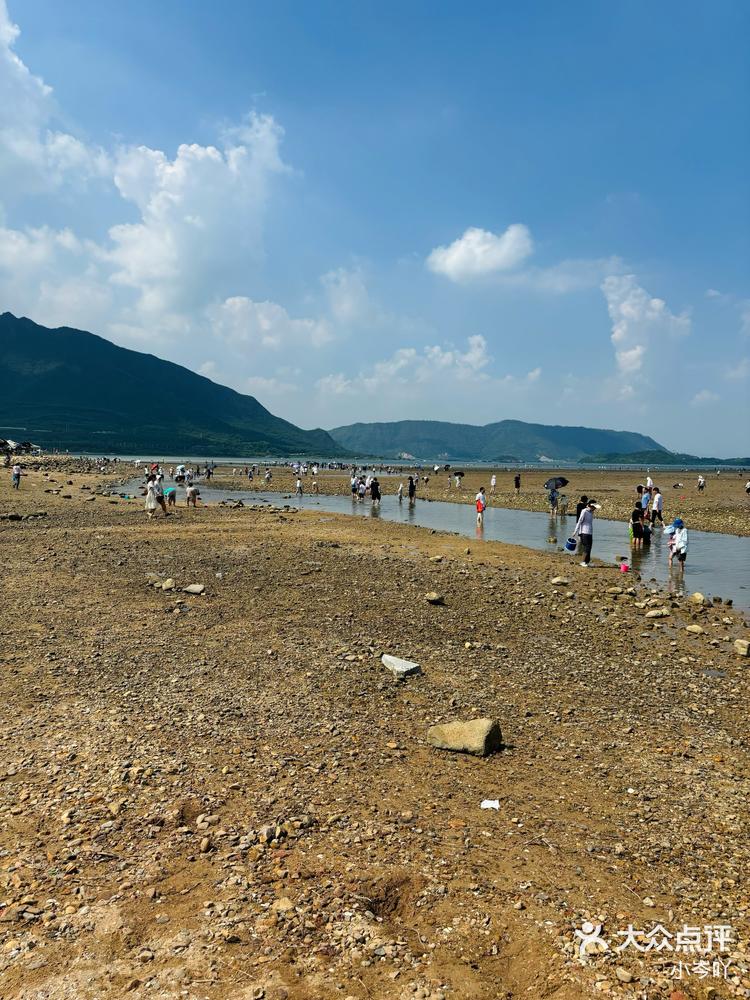 深圳周末去哪儿当然是去坝光沙滩赶海啦