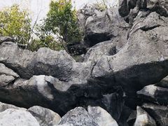 -千岛湖石林