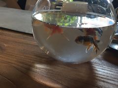 -Tian品