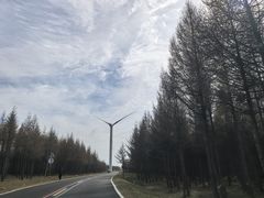 -御道口草原森林风景区