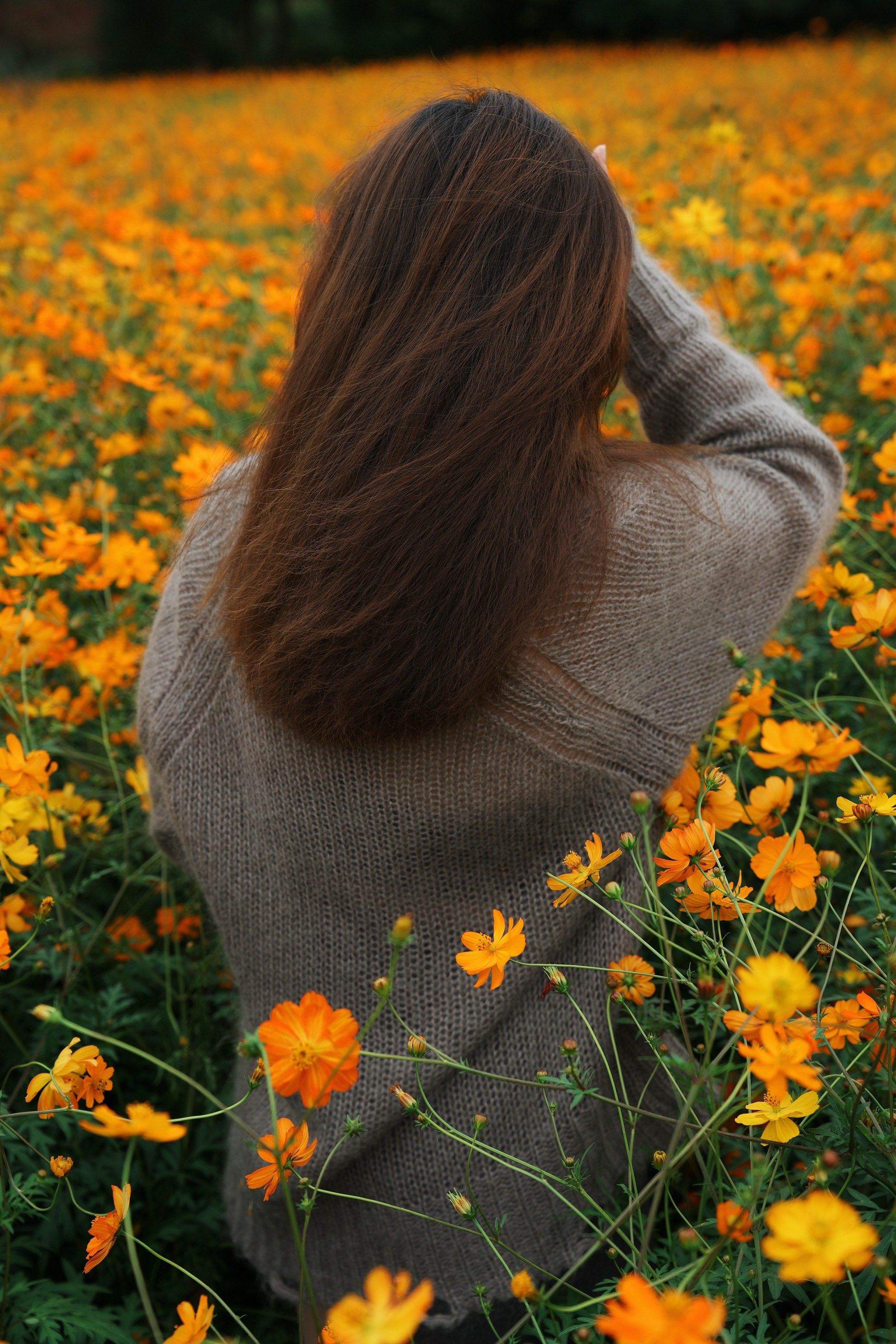 桑格花的秘密花园