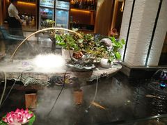 -割烹旭日本料理(龙湖狮山天街店)
