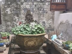 -月栖华明-云间草堂清茶馆(泗泾古镇店)