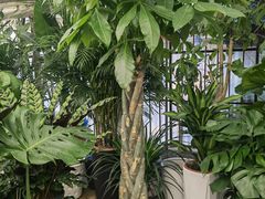 -金陵花卉交易市场