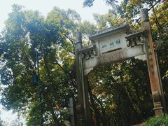 -梧桐山风景名胜区