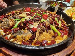 -老板恋上鱼(荣盛广场店)