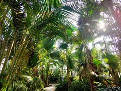 -国家植物园南园