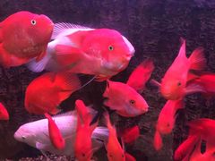 -天福海鲜酒楼·闽菜海鲜·宴请聚会(五四路店)