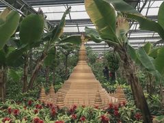 -南宫五洲植物乐园