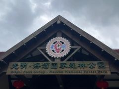 -上海海湾国家森林公园