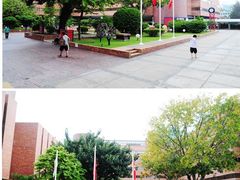 -香港理工大学